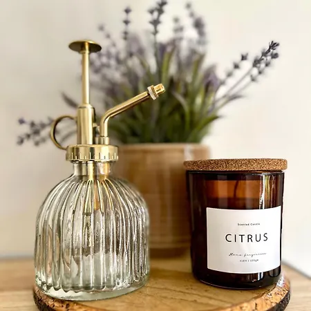 Aux Arcades Hyper Centre Mulhouse