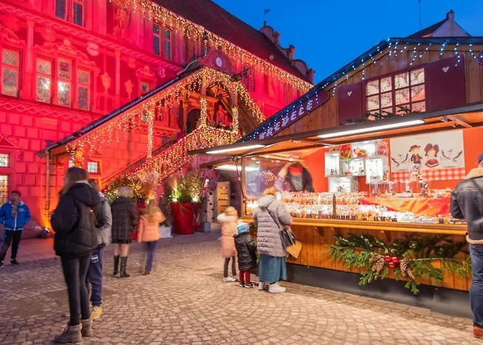 Apartment Aux Arcades Hyper Centre Mulhouse